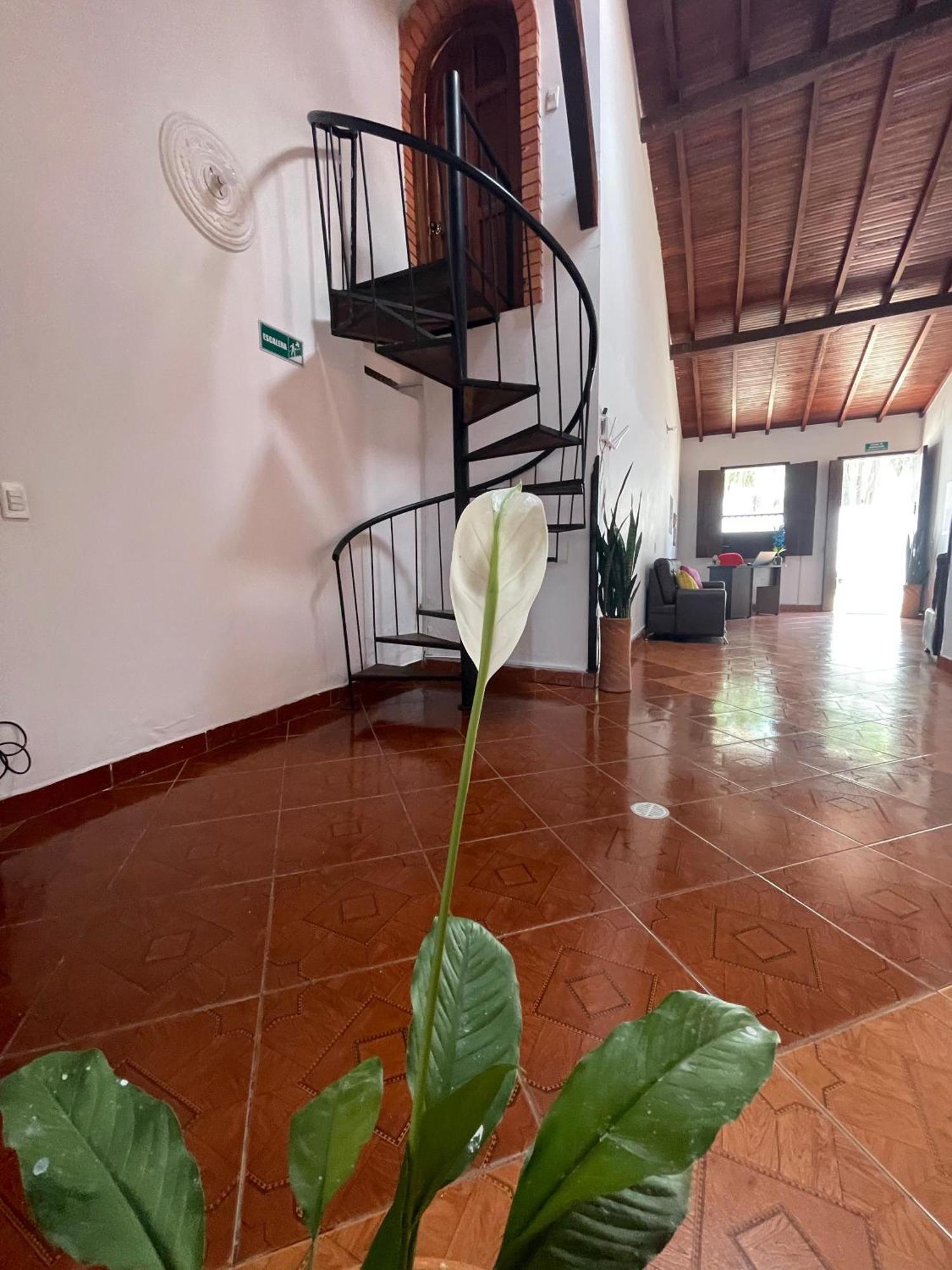 Hostel La Hormiga Barichara Ngoại thất bức ảnh
